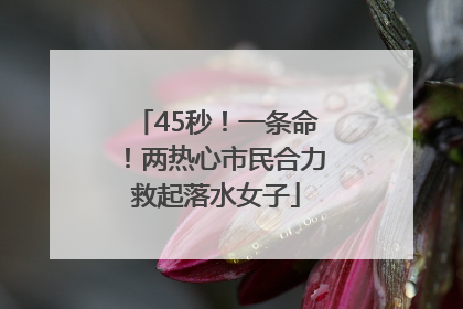45秒！一条命！两热心市民合力救起落水女子